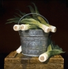 Bucket Full of Leeks